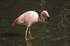 Zoo Dortmund - Kurzbesuch