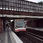 IMG_6702