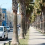 Diese Palmenallee war vor über 40 Jahren mal die Eisenbahnstecke nach Artà. 