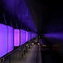 IMG_8893