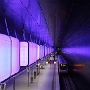 IMG_8897