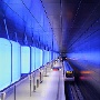 IMG_8904
