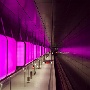 IMG_8911