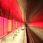 IMG_8921
