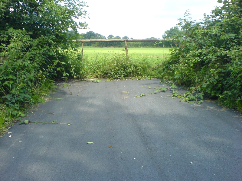 DSC00767.JPG