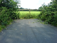 DSC00767.JPG
