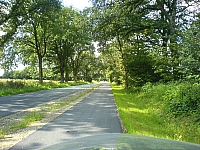 DSC00768.JPG