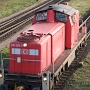<font size="2">Arbeitstier im Hafen.