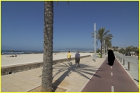 04%20Radweg%20am%20Strand,%20palmen
