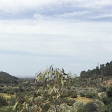 <font size="2"><br />Es geht immer höher in die Berge, die Aussicht wird immer grandioser.<br /><br />