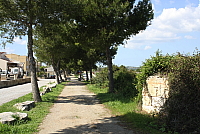 IMG_2684.JPG