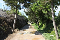 IMG_2685.JPG