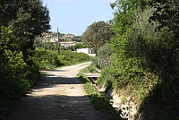 IMG_2696.JPG