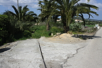 IMG_2698.JPG