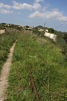 IMG_2699.JPG