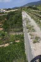 IMG_2701.JPG