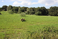 IMG_2707.JPG