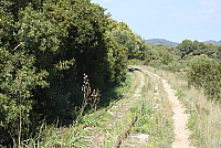 IMG_2709.JPG