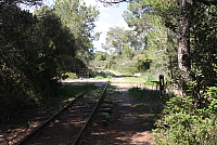 IMG_2710.JPG