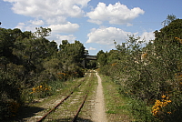 IMG_2712.JPG