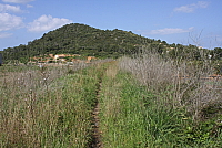 IMG_2718.JPG