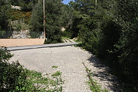 IMG_2726.JPG