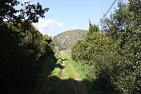 IMG_2739.JPG