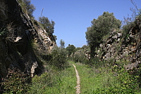 IMG_2741.JPG