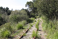 IMG_2747.JPG