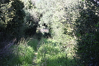 IMG_2754.JPG