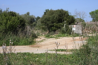 IMG_2758.JPG