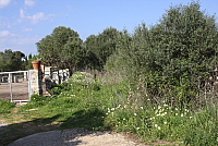 IMG_2761.JPG