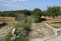 IMG_2768.JPG