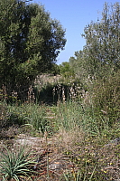 IMG_2771.JPG