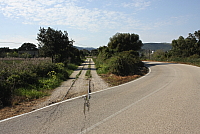 IMG_2773.JPG
