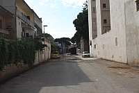 IMG_2780.JPG