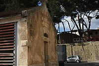 IMG_2781.JPG