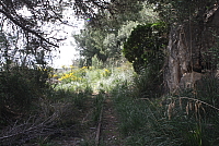 IMG_2905.JPG