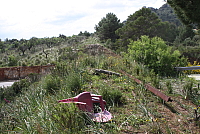IMG_2906.JPG