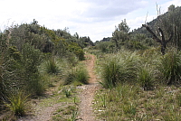 IMG_2908.JPG