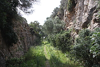 IMG_2911.JPG