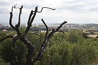 IMG_2913.JPG