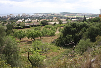 IMG_2917.JPG