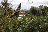 IMG_2919.JPG