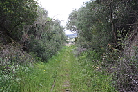 IMG_2945.JPG