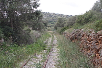 IMG_2953.JPG