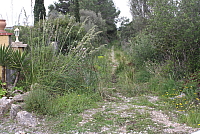 IMG_2967.JPG