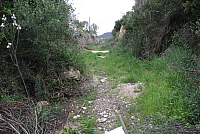 IMG_2970.JPG