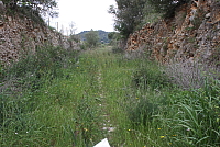 IMG_2971.JPG