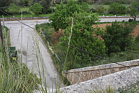 IMG_2979.JPG